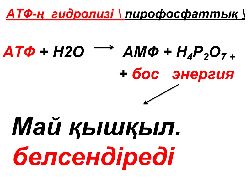 АТФ-ң  гидролизі \ пирофосфаттық \  АТФ + Н2О    